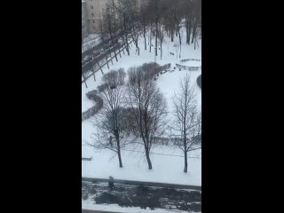Видео от НеТипичный Павловск