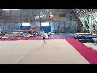Видео от РОО Федерация Спортивной гимнастики ЛНР