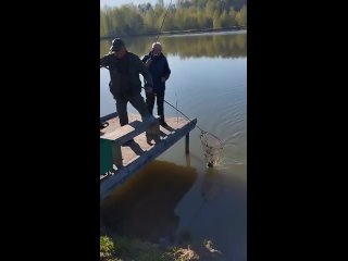 Видео от База отдыха Мизиновские пруды