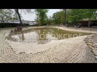 В парке Горького снова функционирует пруд