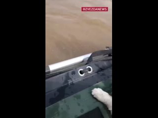 Спасатели вытащили из воды дрейфующего на тонкой доске по волнам оренбургского «моря» кота