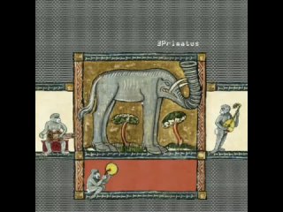 3 Primates. 3 Primates (2021). Album. France. RIO/Avant-Prog, Progressive Rock.