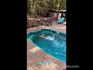 Да чтош ты страшная такая! - Серый Волк