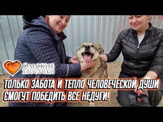 Только забота и тепло человеческой души смогут победить все недуги! | Буран