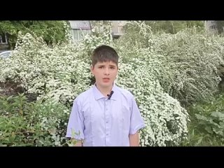 Video by Yaromir Brovkov