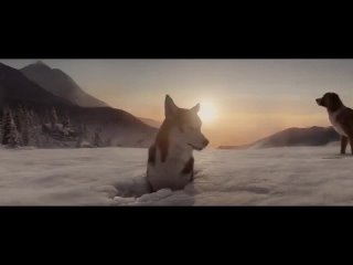 Alan Walker - The True Leader (Best Video)