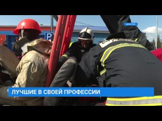 Лучшие в своей профессии