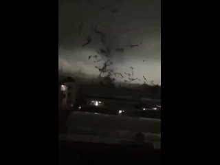 Varios fallecidos por el paso de un tornado en el sur de China