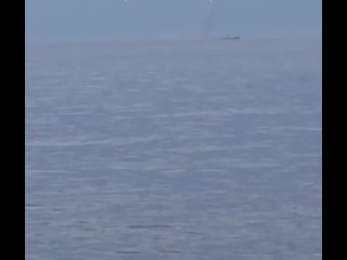 ‼️🇷🇺🏴‍☠️Враг публикует кадры, утверждая, что в Черном море был поражён десантный корабль ВМФ “Цезарь Куников“
▪️Кадры активно ра