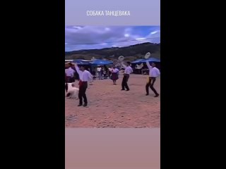 Видео от школа танцев LA PLAYA ★САЛЬСА★РЕГГЕТОН★БАЧАТА