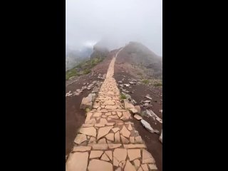 Видео от Ольги Лущиковой