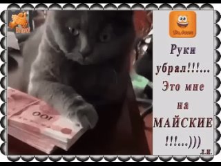 На майские!