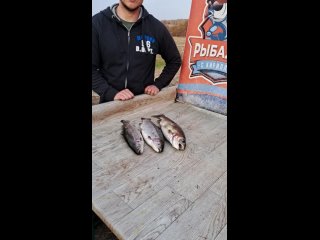 Видео от Рыбалка с Кириллом в БОЯРИНЦЕВО и ПОЯРКОВО
