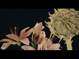 Still Corners - Crying (Official Music Video)