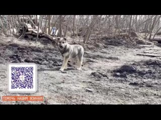 Мы все следим за обстановкой в соседних регионах. Все наши действия сейчас направлены на мир и безопасность, помощь военнослужащ