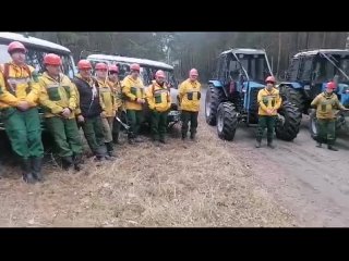 Видео от Новоселовское лесничество