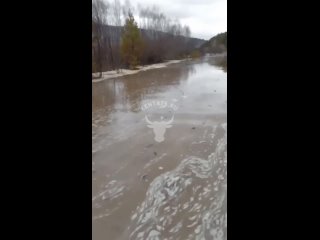 Река подтопила единственную дорогу из села в Петровск-Забайкальском районе
