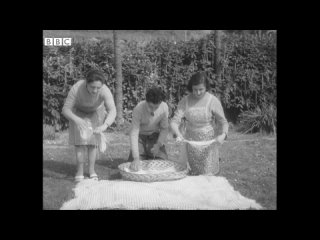 Spaghetti Harvest in Ticino, Switzerland • BBC, 1957
