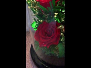 Розы в светящейся колбе ДВtan video