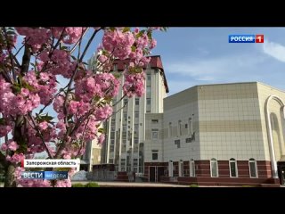 Обстрелами ЗАЭС Киев пытается запугать жителей Энергодара