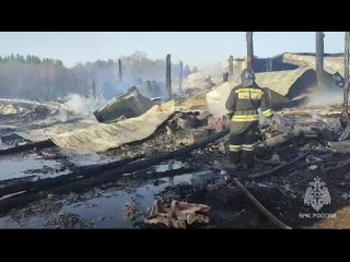 🔥Сегодня в селе «Вязовка» Бирского района на пожаре сгорели животные

К моменту приезда спасателей МЧС России и добровольцев гор