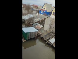 Челноково, СНТ Восход сегодня днем и вечером (видео)