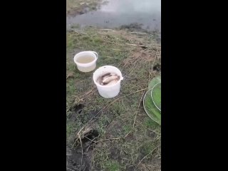 Видео от Рыбалка в Магнитогорске | Рыболовная барахолка