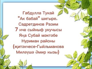 Садретдинов Разим, ООШ села Новый Субай Нуримановский район РБ