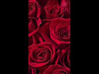 названия (7)