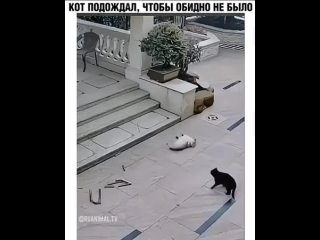 Видео от Анекдоты, шутки, юмор