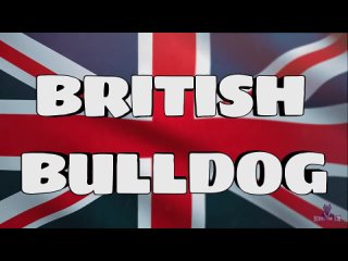 WWE  British Bulldog