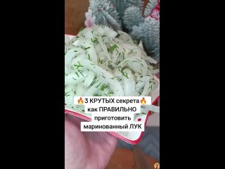 Советы от Пенсионеров