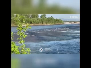 Тела ещё двух мужчин нашли в реке Тисе у украинско-румынской границы. Предположительно, они пытались нелегально сбежать.
