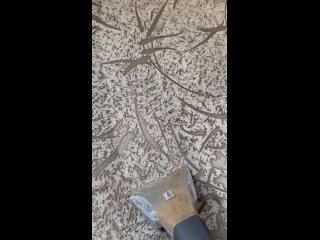 Video by Аренда моющего пылесоса KARCHER в Балашихе