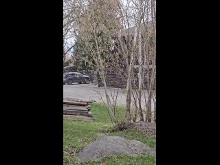 Видео от Бухта Весёлого Роджера турбаза на Алтае