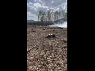 Видео пожара в Абзелиловском районе.mp4