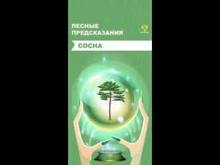 🌱 В первые майские #Выходные время не только отдыхать, но и сажать деревья!