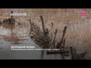 В Викуловском районе вода отрезает от большой земли всё новые населенные пункты