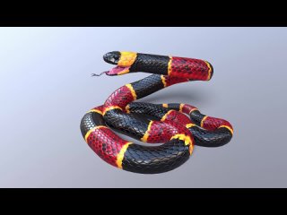 Animated Game Ready Eastern Coral Snake 3D Model