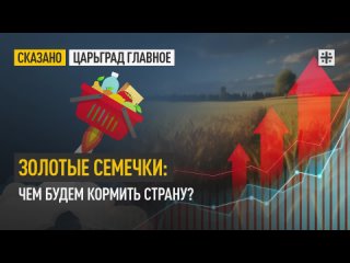 Золотые семечки: Чем будем кормить страну?