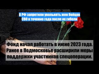 В РФ запретили увольнять жен бойцов СВО в течение года после их гибели