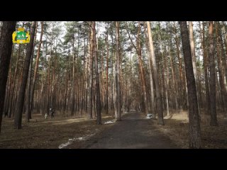 Горожане поддержали парк “Семь ключей“ бегом