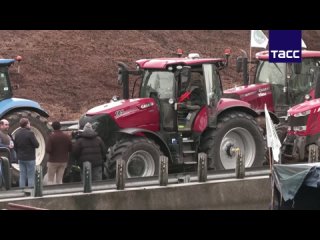 Бельгийские фермеры присоединились к массовым протестам французских коллег. Выступая против упадка сельского хозяйства страны, а