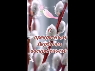 Video by Жизнь.Красивая и ...РАЗ-НА-Я!!!