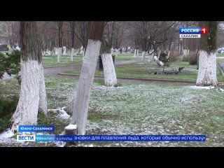 Видео от Вести. Сахалин. Курилы