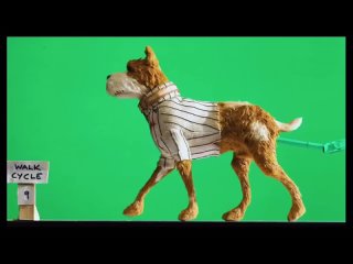 Just came across these early animation tests from Isle Of Dogs somewhere at the start of the three year project. ##amsltd#puppet