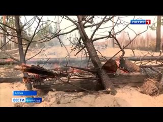 Вся территория Курганской области вошла в зону повышенной вероятности лесных пожаров