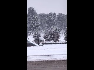 Видео от В КУРСЕ 22  новости Барнаула и Алтайского края