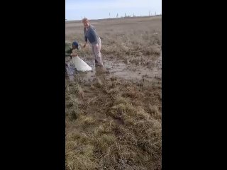 Видео от Рыбалка Тюмень