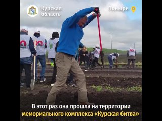 На мемориальном комплексе Курская битва в Поныровском районе высадили 6 тысяч дубов